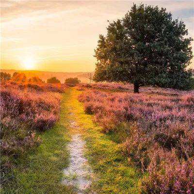 金沙官方登录入口